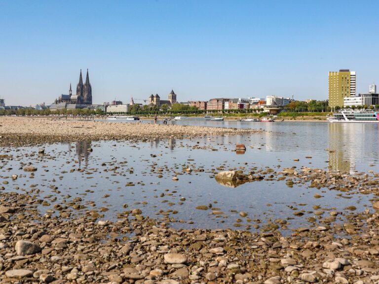 niedrigwasser-rhein-koeln-108~_v-HintergrundL